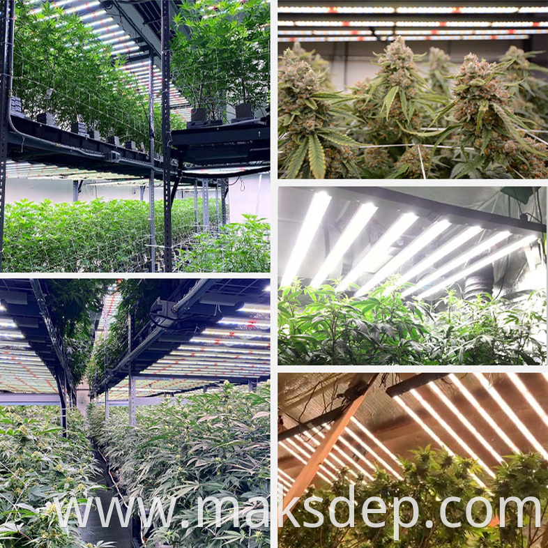 hydroponics 1000w grow light kit